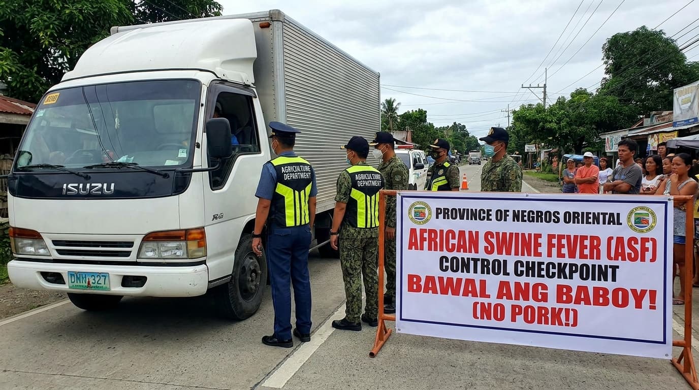 Baboy na may African Swine Fever, Bawal na sa Negros Oriental! Kakain pa ba tayo ng Pork? Alamin DITO!