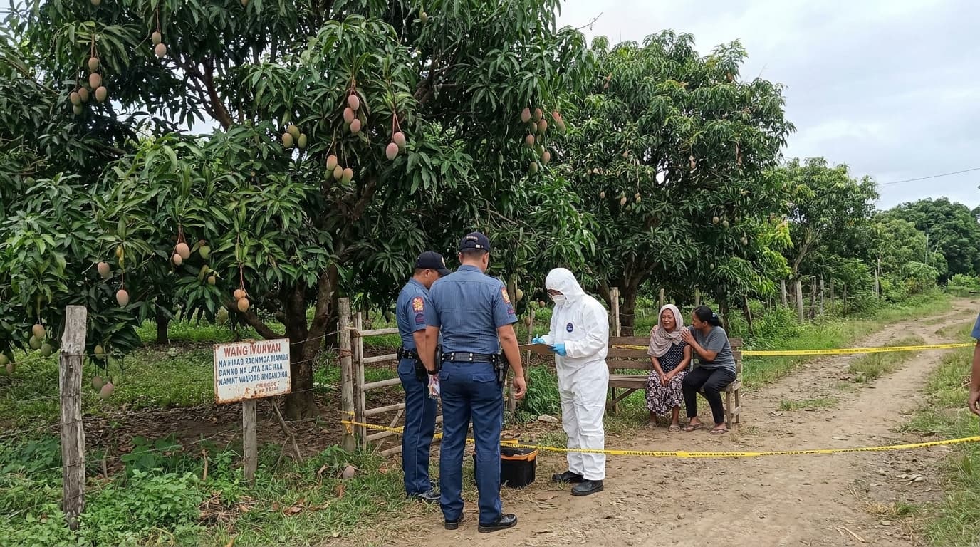 MANGO NA PINAG-AGAWAN, NAGPABAYAD NG BUHAY SA ISABELA! HINDI KA MAKAKAPANIWALA KUNG SINO ANG MAY GABI!